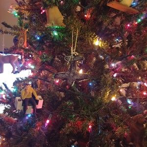 Meet your Posher, Ellen